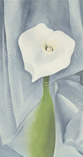 Amazon.com: Picture Peddler Calla Lily on Grey 1928 by Georgia O